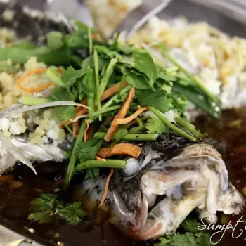 Steamed Taipan Fish with Soysauce (酱油蒸大班鱼)