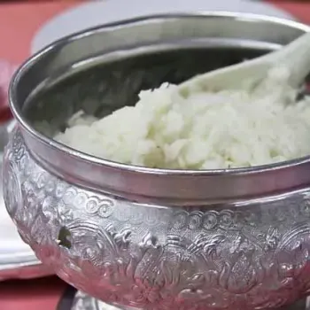 Steamed White Rice (白饭)