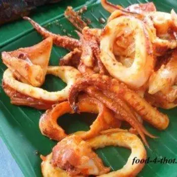 Sotong (squid)