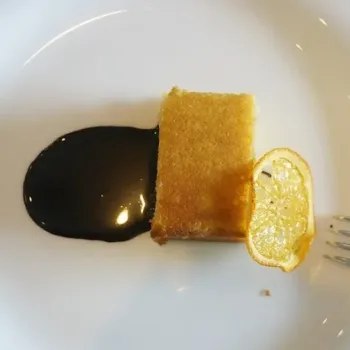 Dish