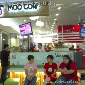 Moo Cow Frozen Yogurt
