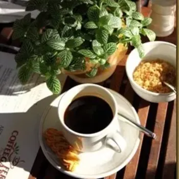 Coffee