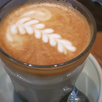 Creamy Cappuccinos