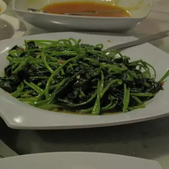 Daun Keledek