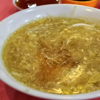 Shark Fin Soup