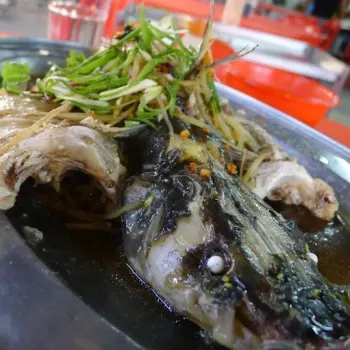 Pak Soh Koong (white whisker's cat fish)
