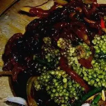 Concoction of Rumpai Laut
