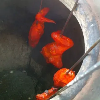 Tandoori chicken