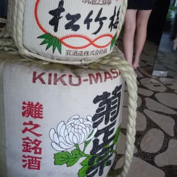 Two woven rice bags.