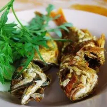 Cencaru