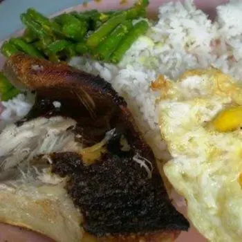 Stingray and Fried Egg