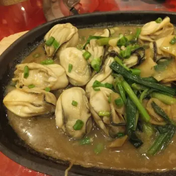 Oysters