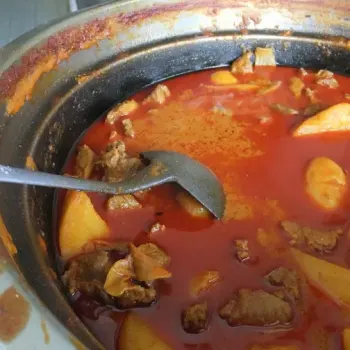 Wild Boar Curry