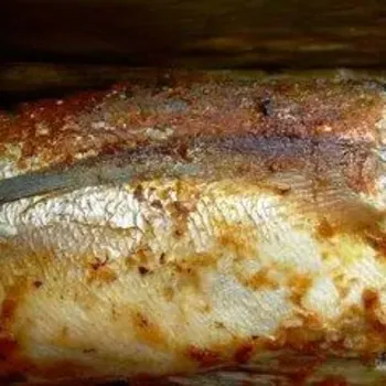 'Cencaru' fish