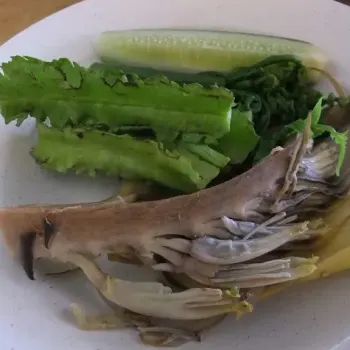 Ulam