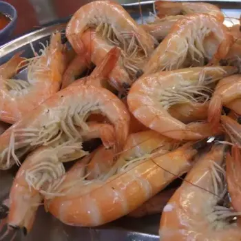 Prawn