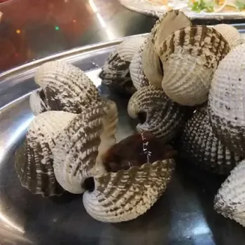 Huge "See Ham" Cockles