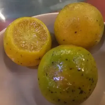 Lime