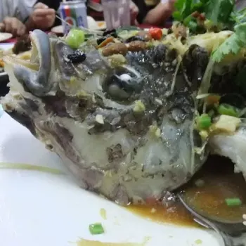 ChinCai Steam 招牌蒸 Tilapia