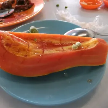 Papaya
