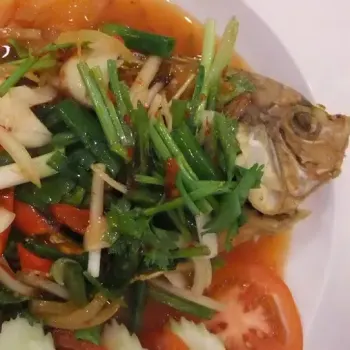 Tilapia Fish