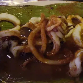 Squid