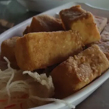 Special Deep Fried Tofu
