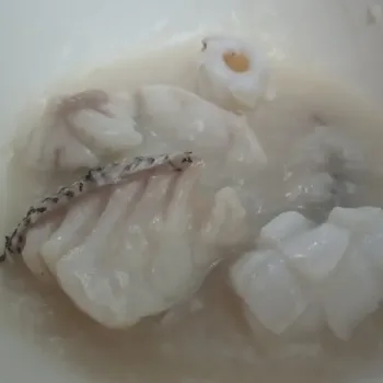 congee with Grouper fish meat and squid