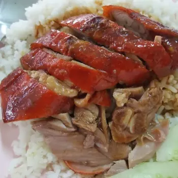Roast Duck Rice