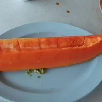 Papaya