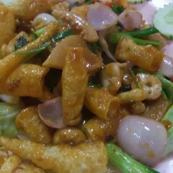 Fish stomach