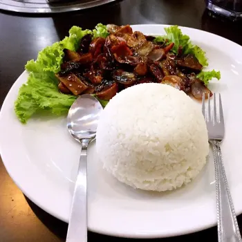 Kong Po Rice 宫保鸡