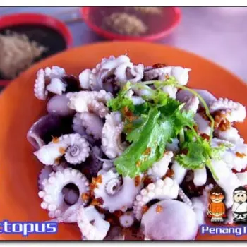 Boiled baby octopus
