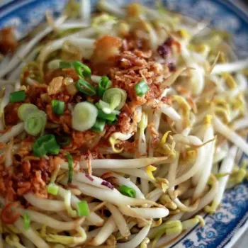 Blanched Bean Sprouts/  豆芽
