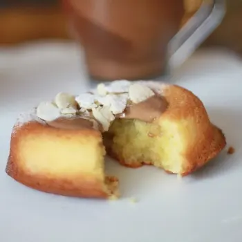 Panna Cotta