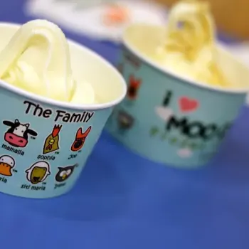 Moo Cow Frozen Yogurt 