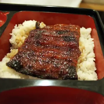 Unagi 
