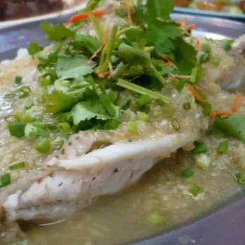 Steamed fish in ginger sauce