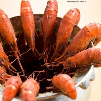 Pepper Shrimp (RM60/large, RM35/small)