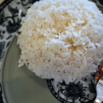Rice