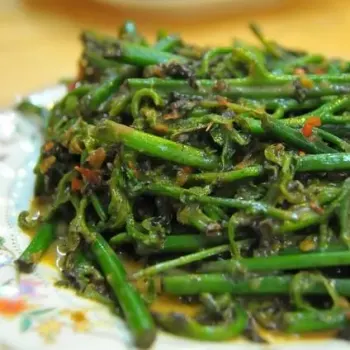 Nyonya Style fried Paku Pakis