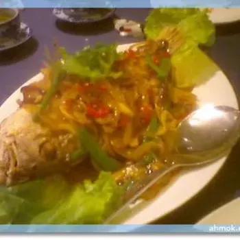 Fish