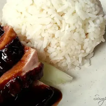 Roast Duck Rice