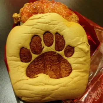 Bear Paw