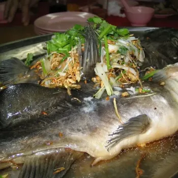 Steamed Fish
