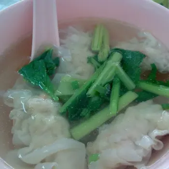 Dumpling Soup