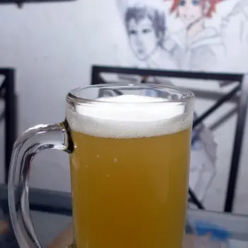 Stella Artois