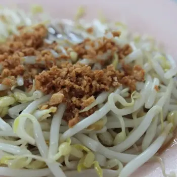 Bean Sprout