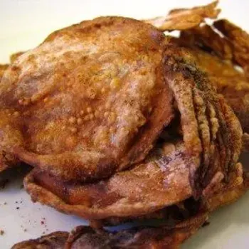 BBQ Cutter Fish