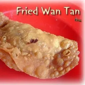 Fried wantan